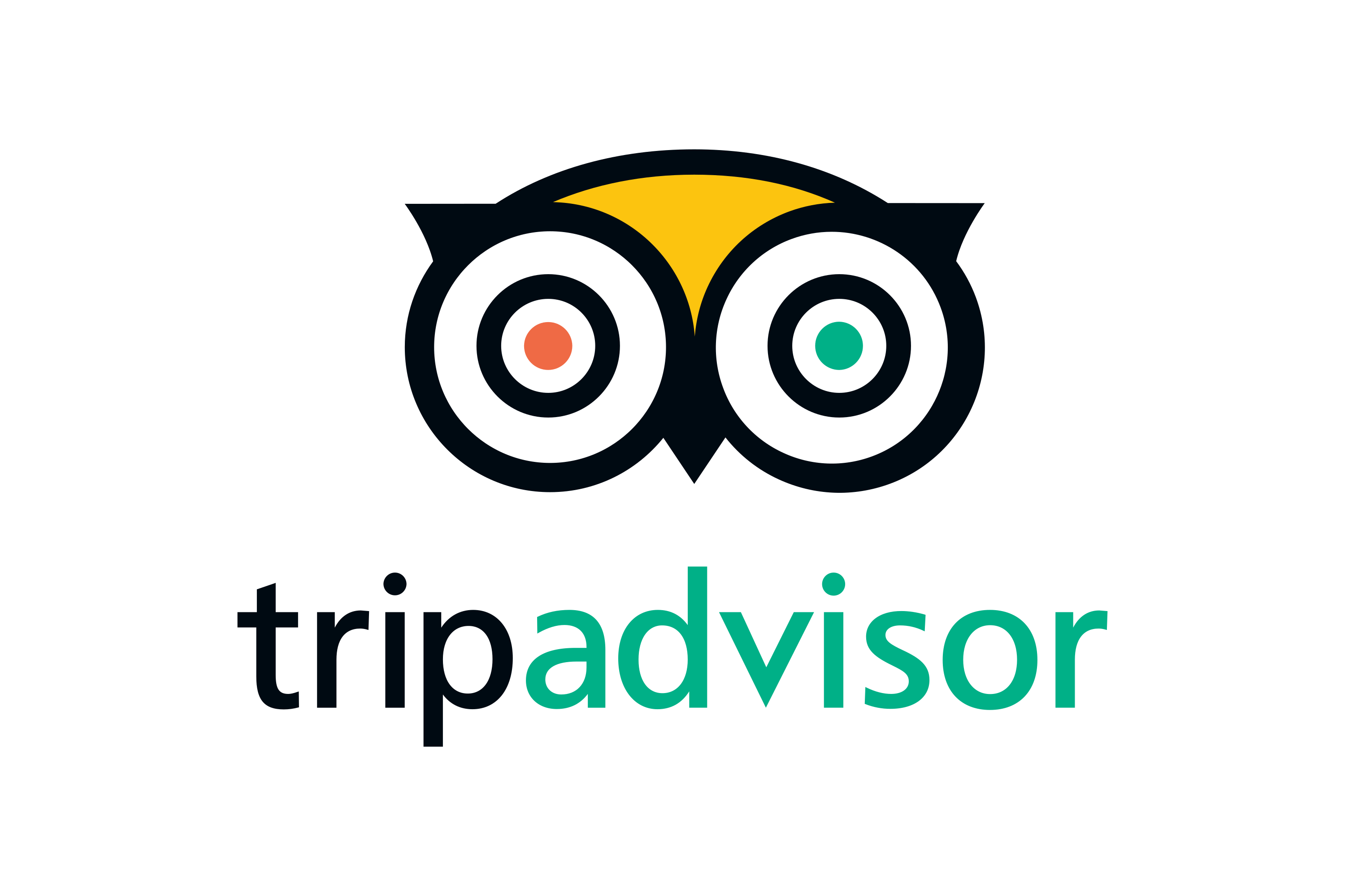 TripAdvisor-Logo.wine