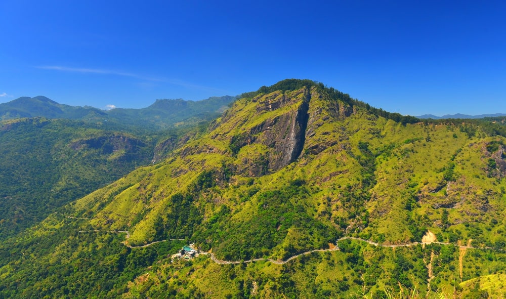 little-adamspeak